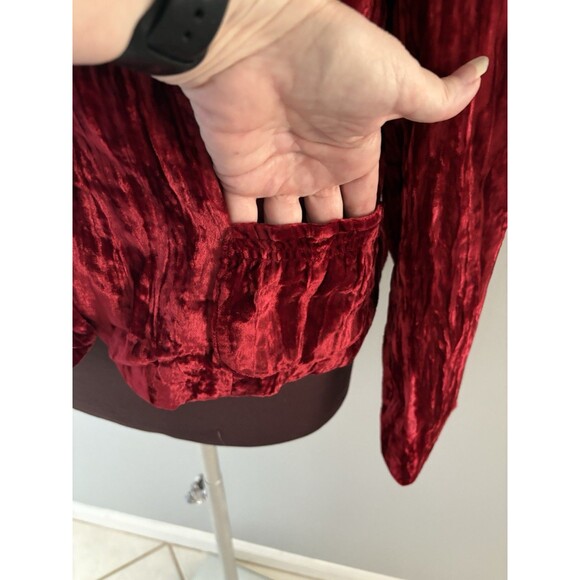 Vintage Sandra Darren Jacket 12 Red Crushed Velvet Castlecore Vamp Holiday - Picture 15 of 16
